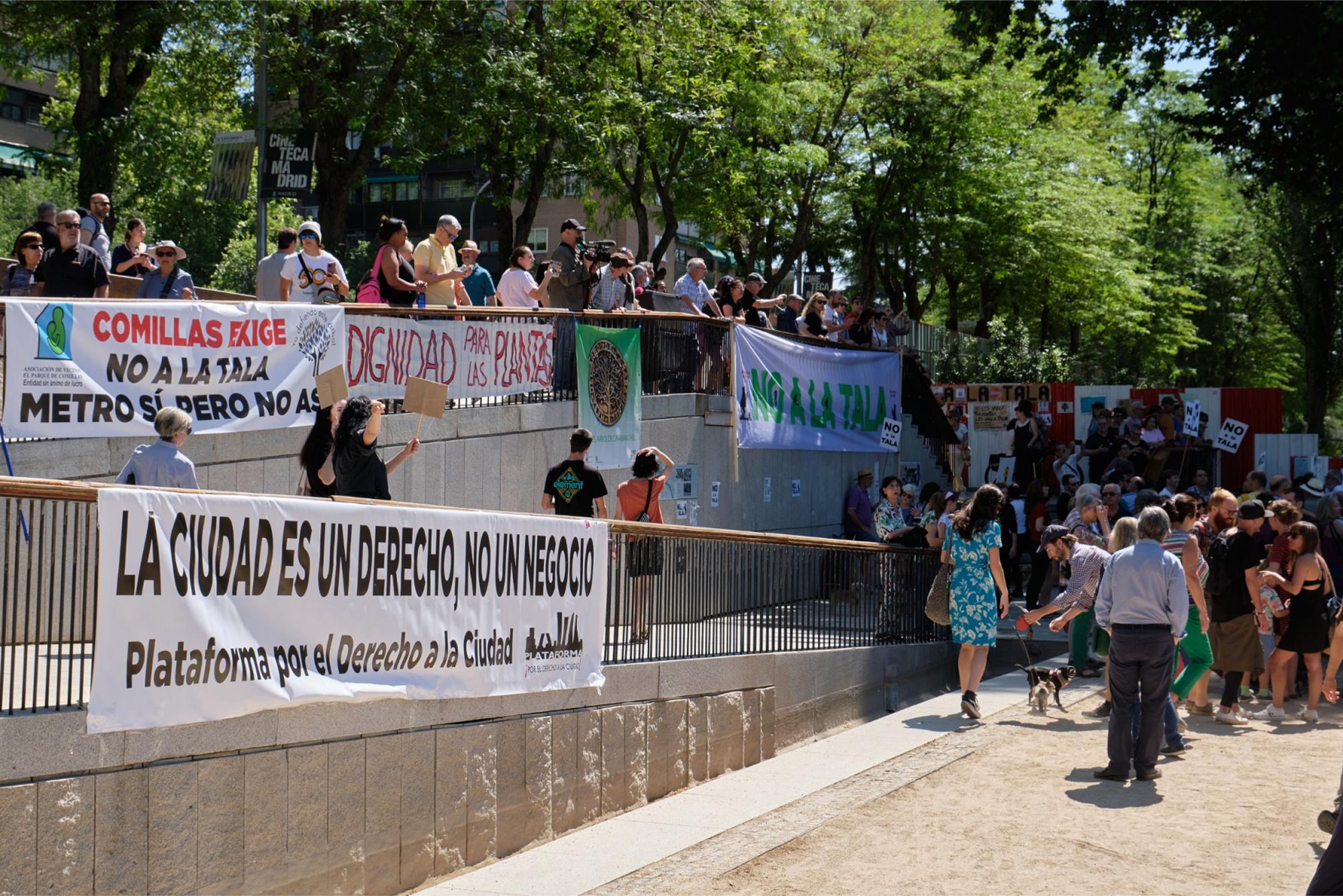 Concentración No a la Tala -mayo 2023 - 14